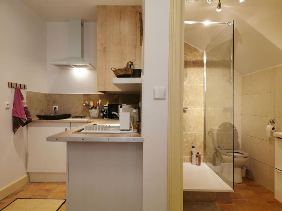 Le Studio 5 Carcassonne Dış mekan fotoğraf